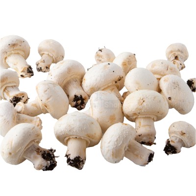 Шампиньоны свежие 500 г - купить в Пушкино