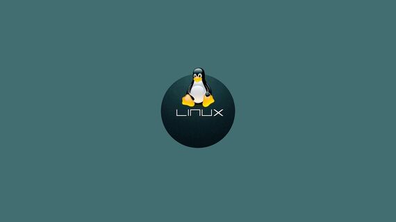 Как установить Linux - подробная инструкция для новичков