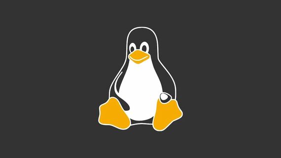ОС Linux: что это за операционная система и почему она заслуживает внимания